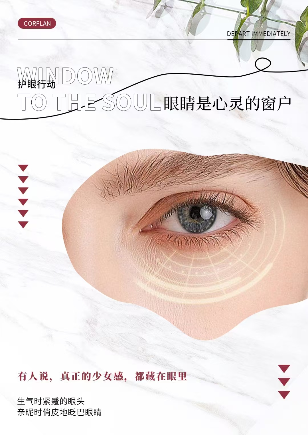 微信图片_20241227162025.jpg